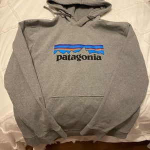 Patagonia sweatshirt